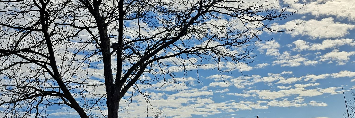 gypsychild66's profile banner image