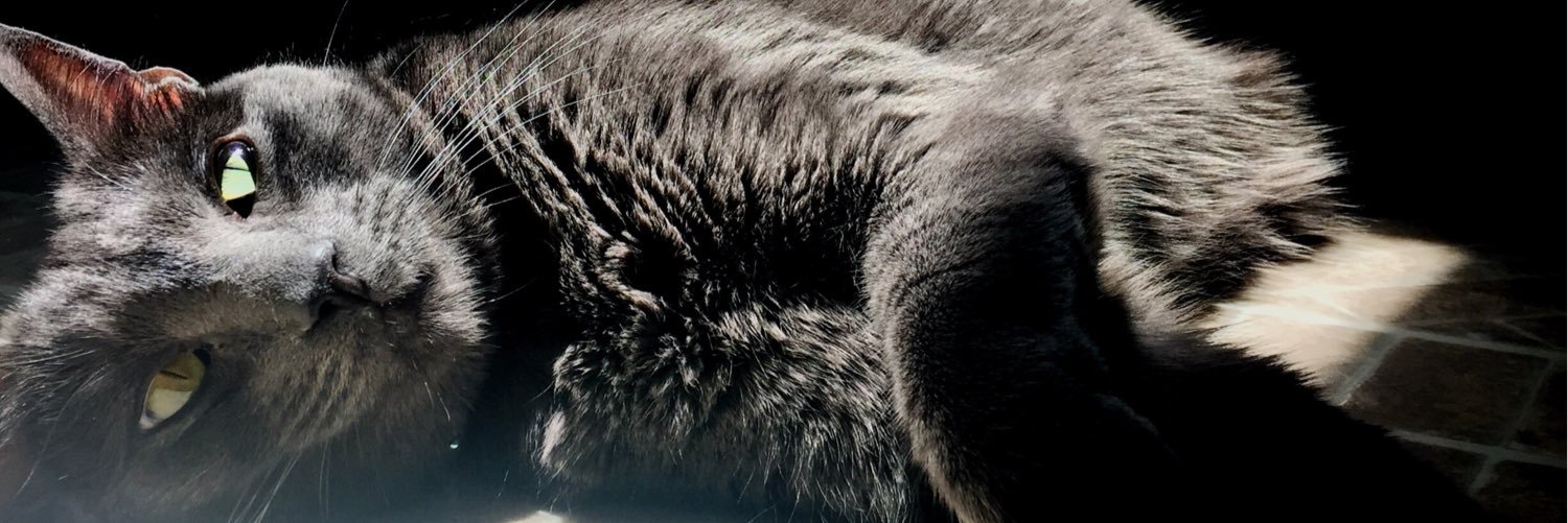 JizJon's profile banner image