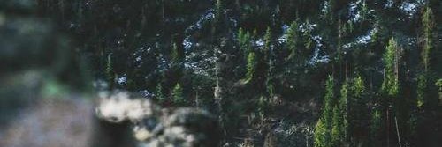 eihxc's profile banner image