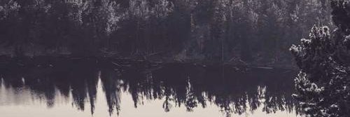 edawsqv's profile banner image