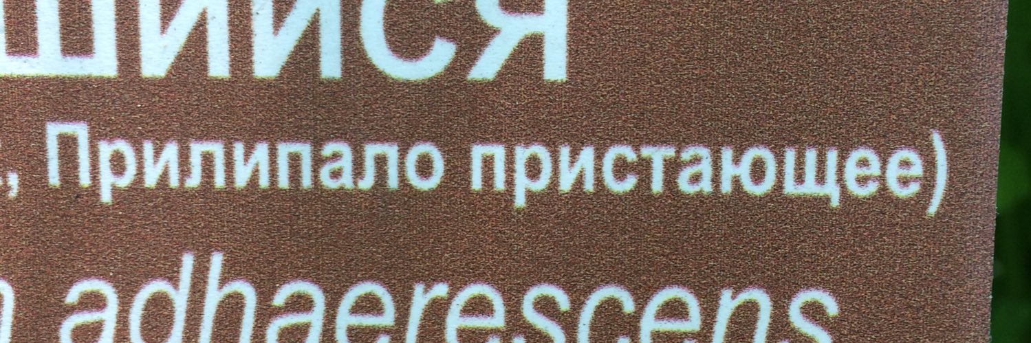 Grigory Lapshin banner