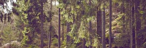 nnaywtelg's profile banner image