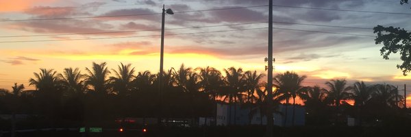 lauragallagherv Profile Banner