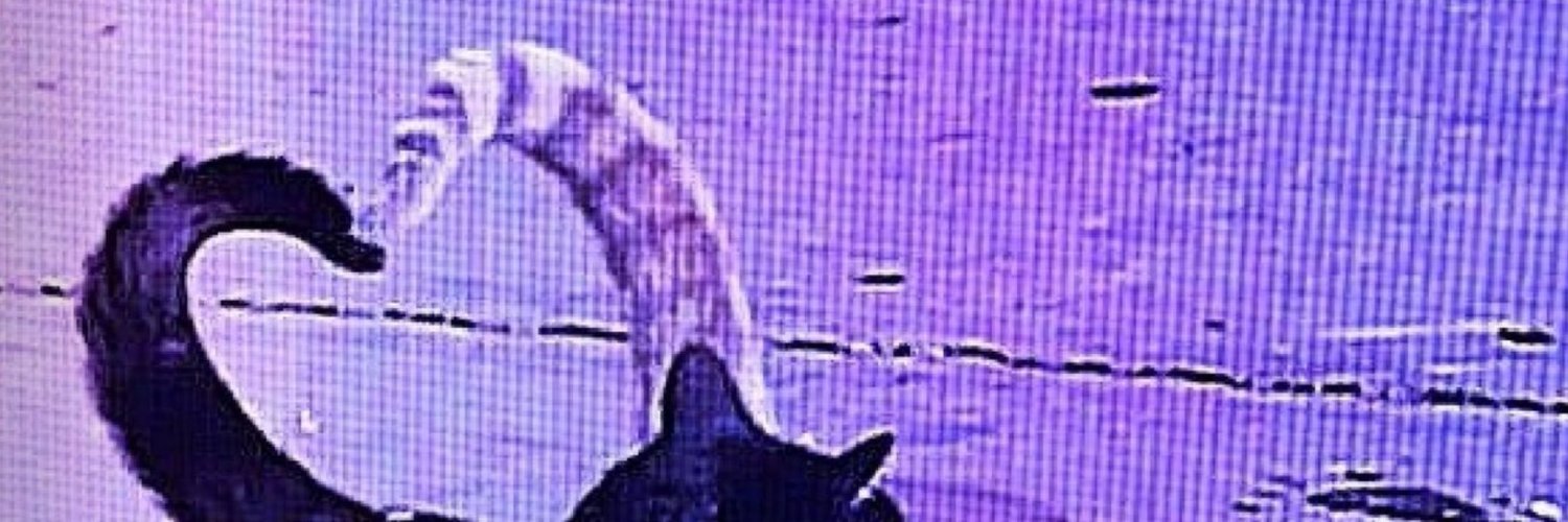 P930 banner