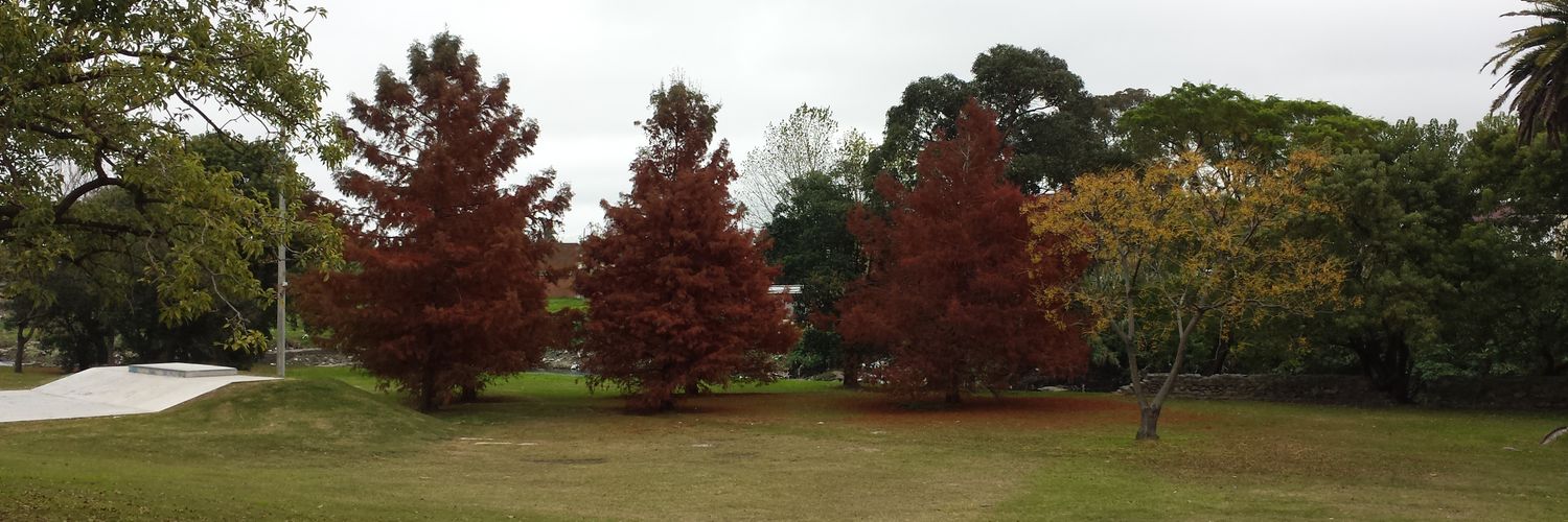 robsonmol's profile banner image