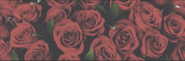 Ash_Zhane's profile banner image
