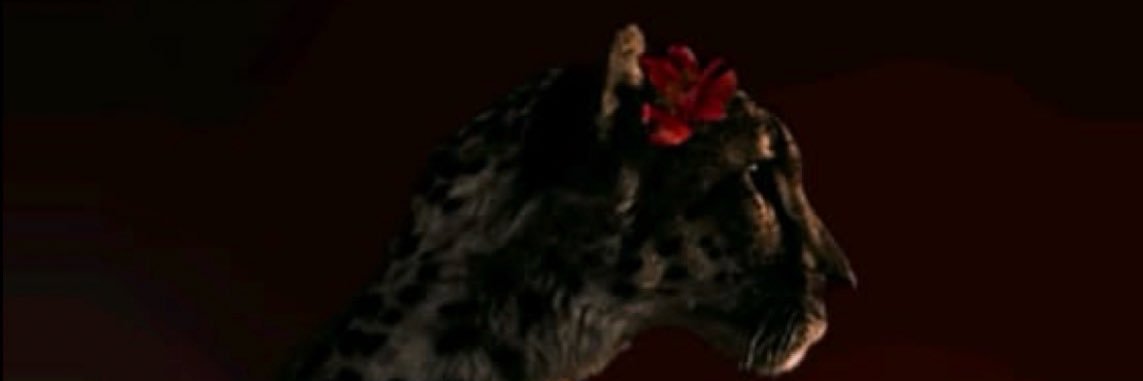 ꧁𓊈𒆜ⓑⓔⓣⓗ𒆜𓊉꧂ Findom banner