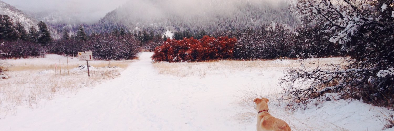 one_ayala's profile banner image