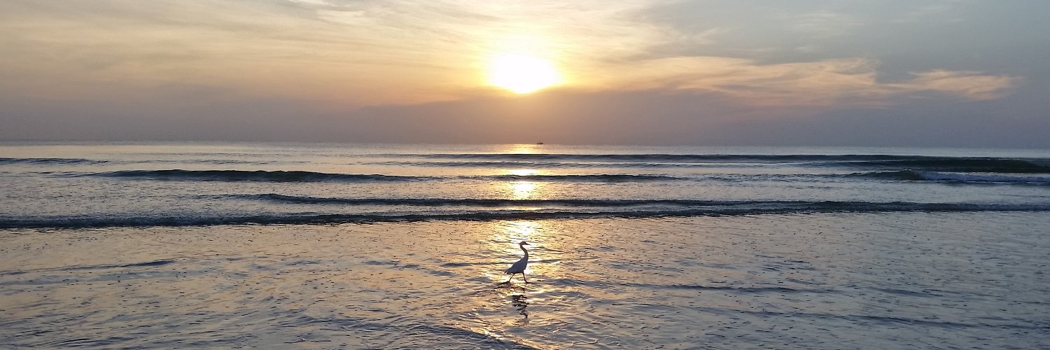 JennStinnett's profile banner image