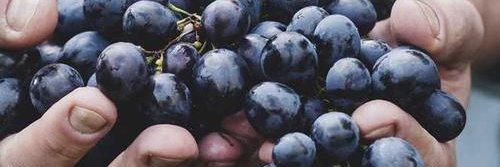 ubdtjbea's profile banner image