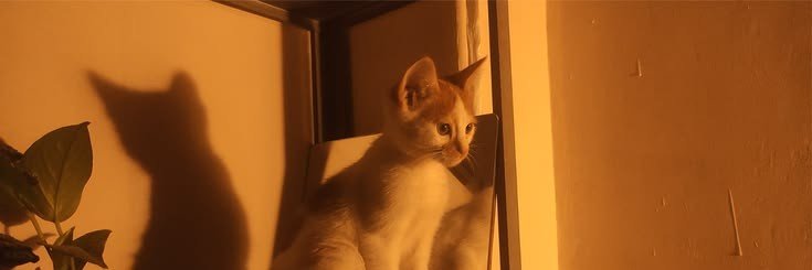 aeri ۶ৎ | limit 🥲 banner