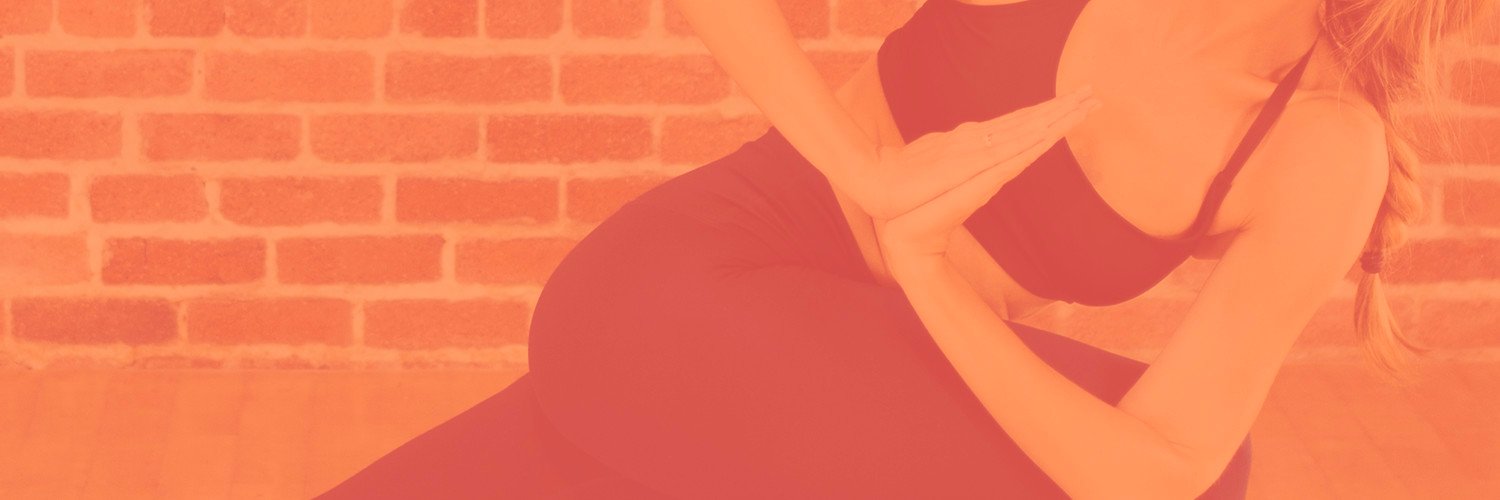 Lorna Borenstein banner