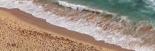 tptruen's profile banner image