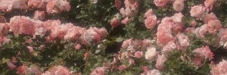 htj2mkrgru's profile banner image