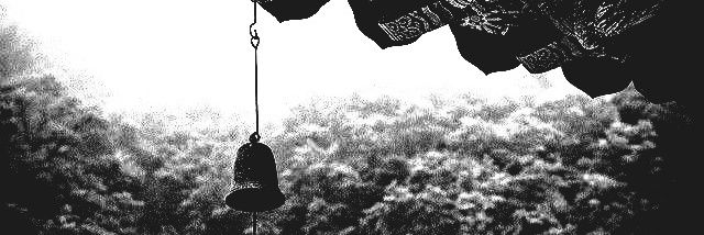 100 banner