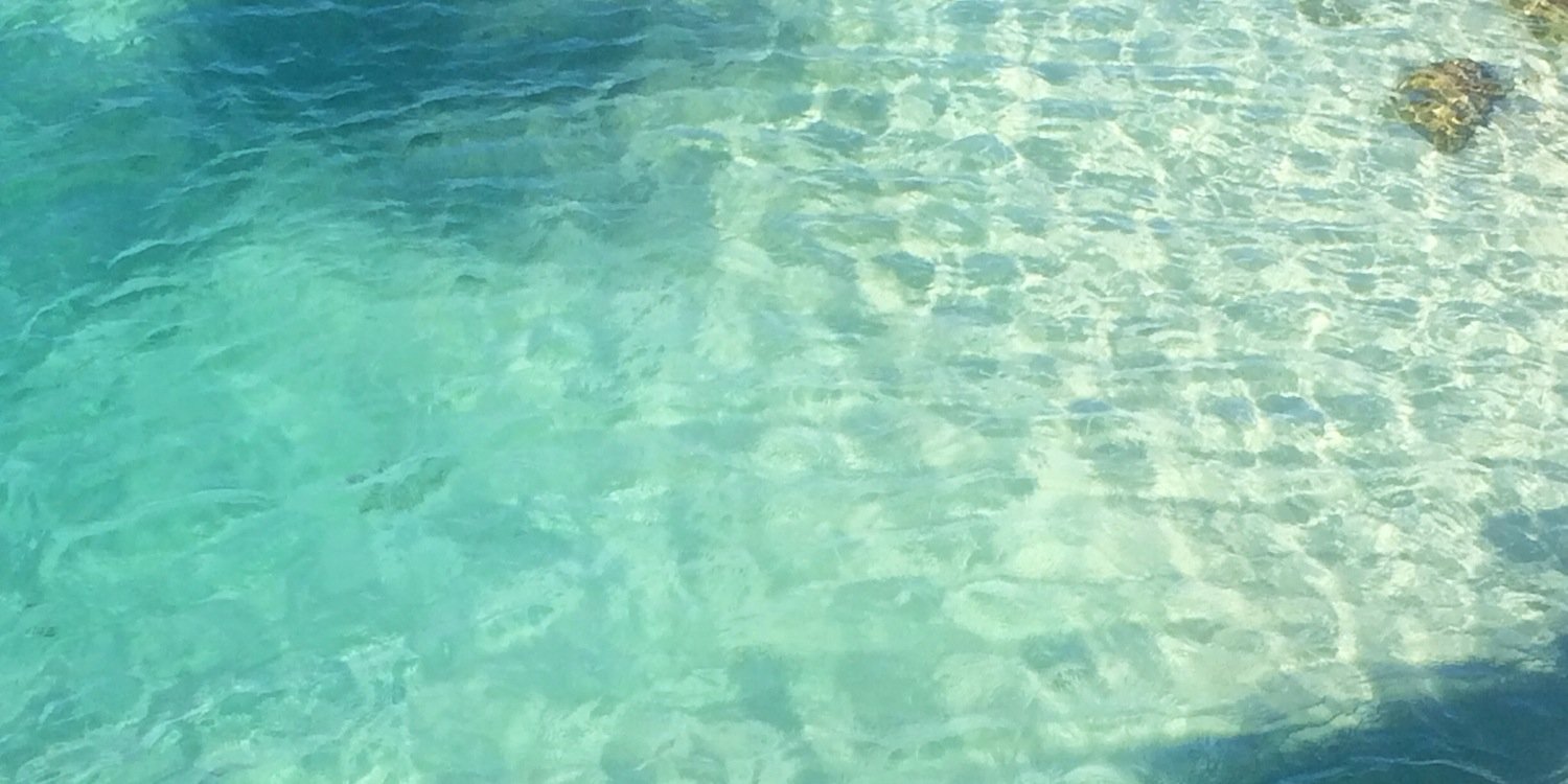 katea88's profile banner image
