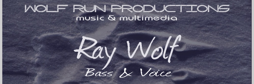 WolfRunMusic's profile banner image