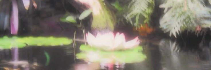 wonbiinniie's profile banner image