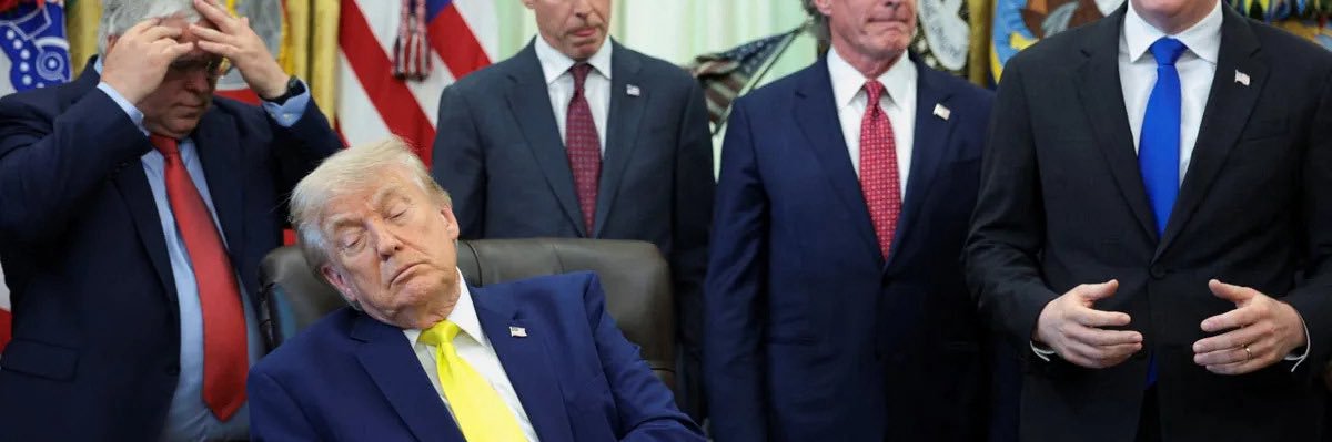 El0NSaNaziPDF's profile banner image