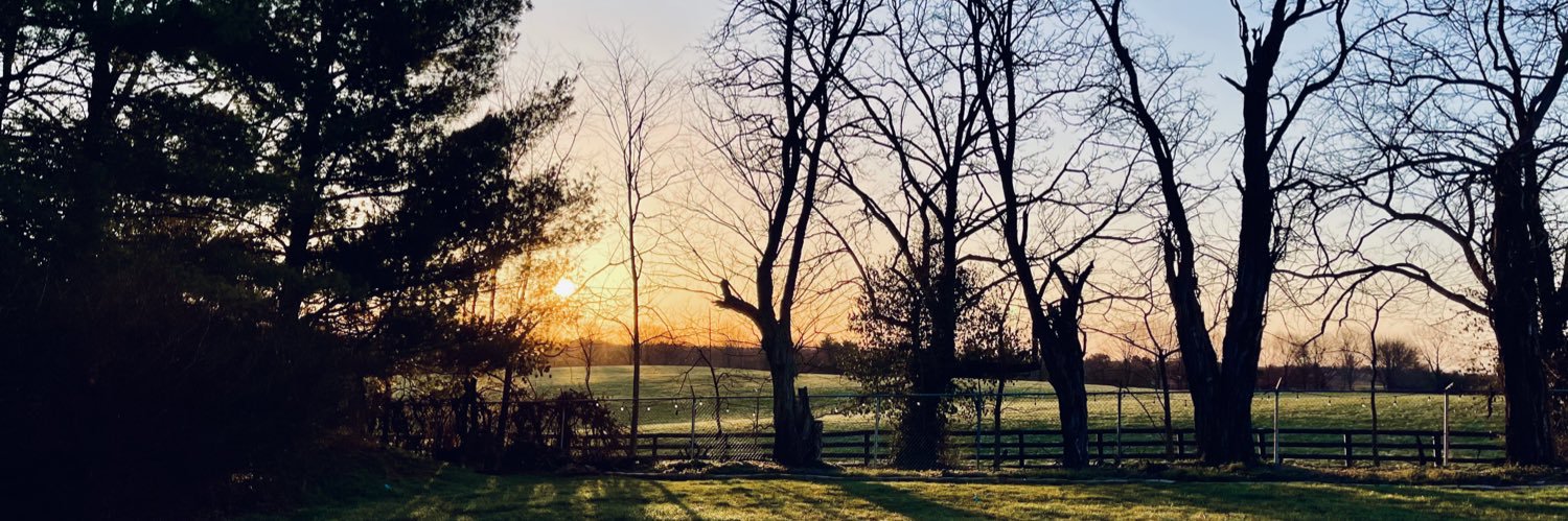 Stephen Smith banner