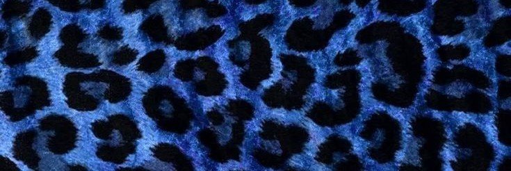 SANTS3g's profile banner image