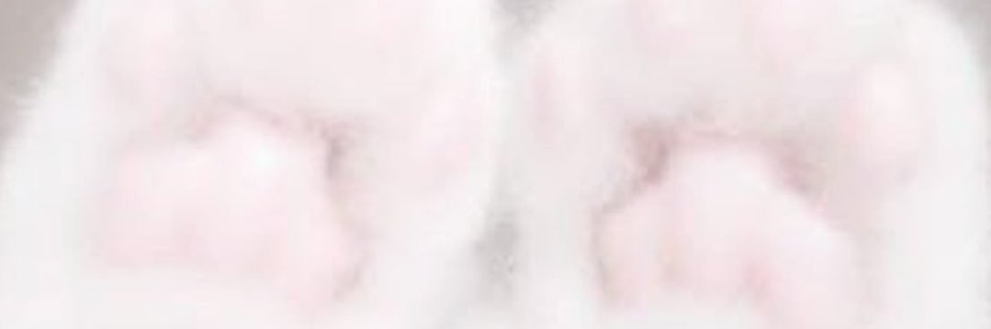 kumapuffoO's profile banner image