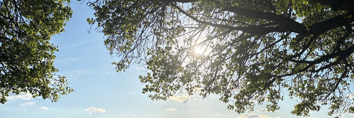 AdanaCodes's profile banner image