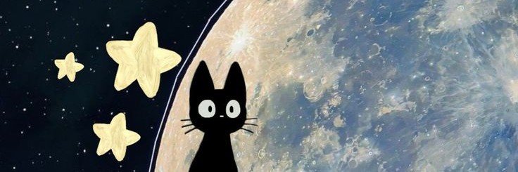 mioceram's profile banner image