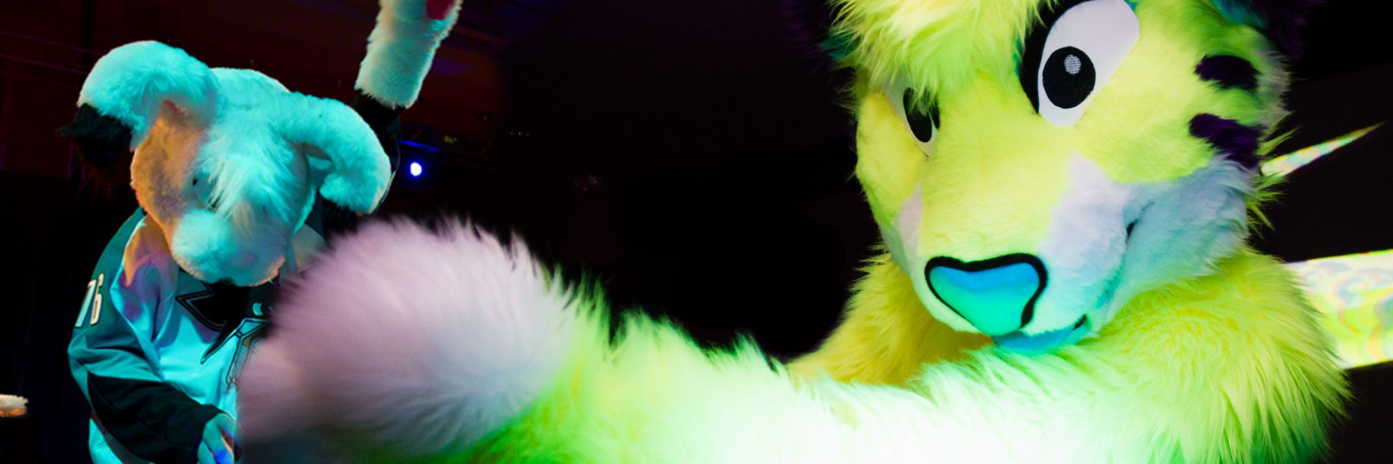 Thumperbun's profile banner image