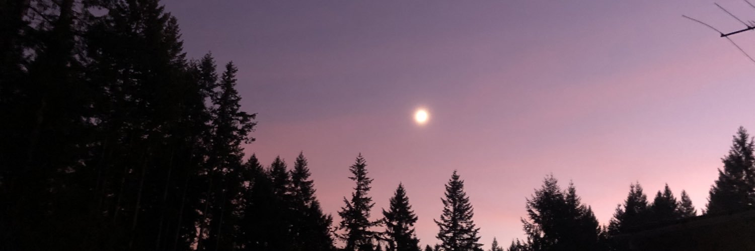 RaelynDiaz's profile banner image