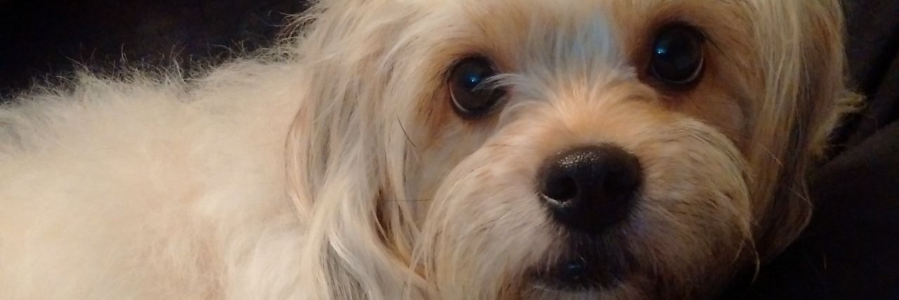 cotufacleo's profile banner image