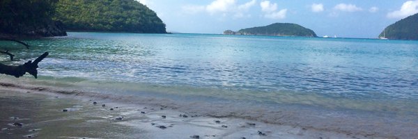 CourtneyLJones Profile Banner