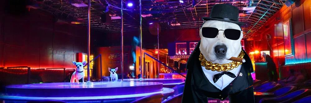 Wall_Doggo's profile banner image