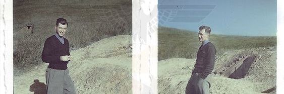 dailymengele's profile banner image