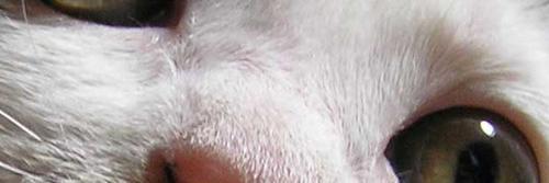 maokun's profile banner image