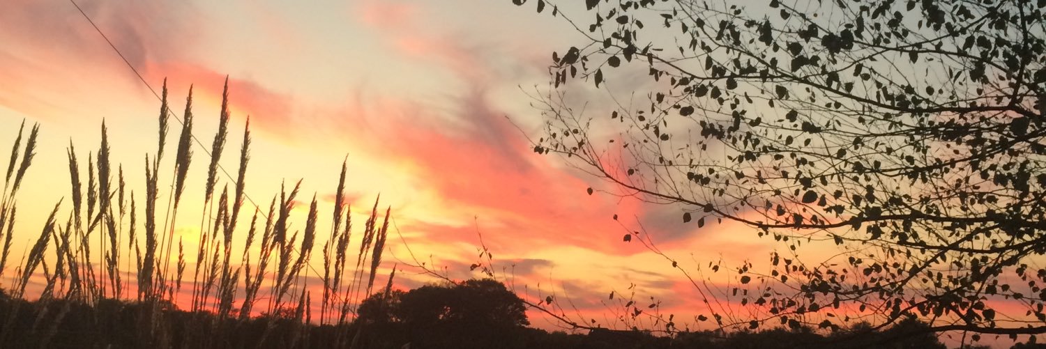 lianneswanson's profile banner image