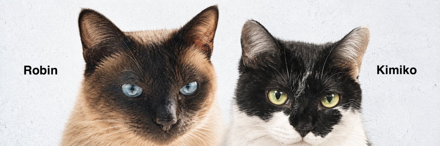 jambingstudio's profile banner image