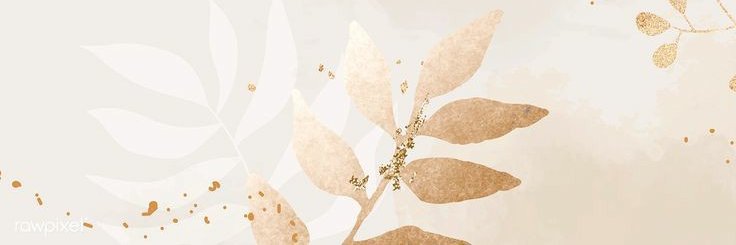 Amanda Verissimo banner