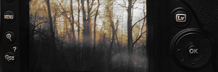 ✦ elliot ! banner