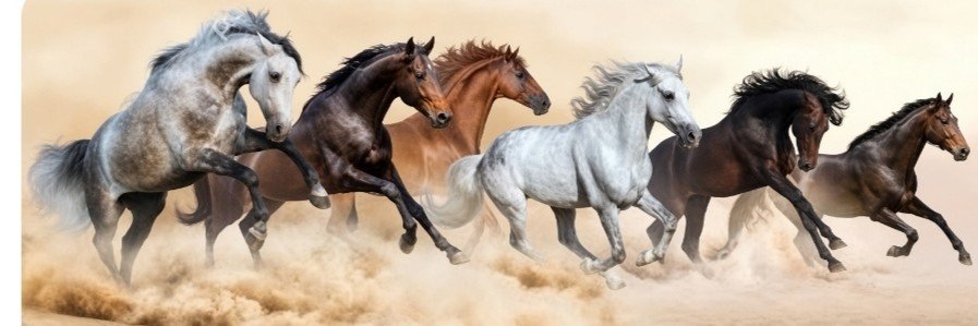 6uurrcc's profile banner image