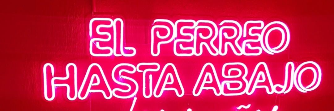 Dastyncaldas's profile banner image