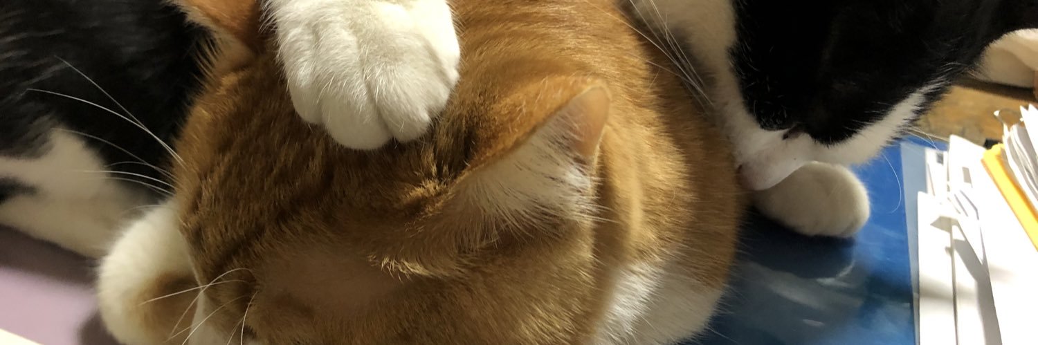 megmacver's profile banner image