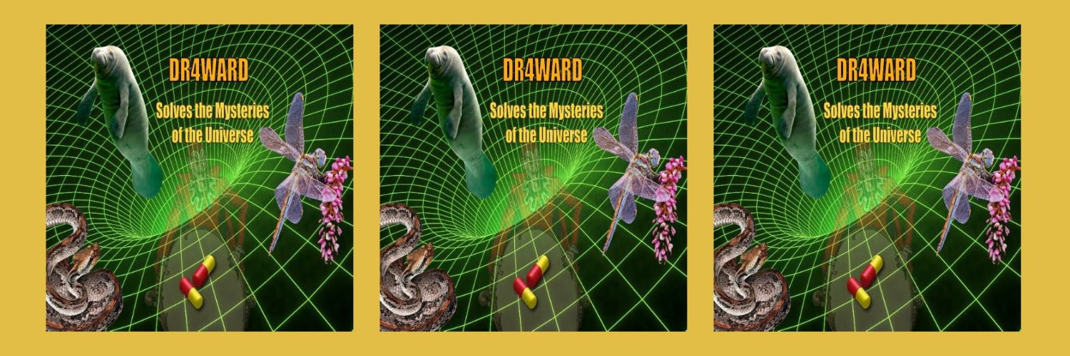 dr4ward's profile banner image