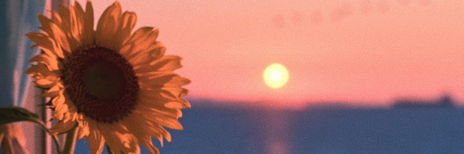 Peking356's profile banner image