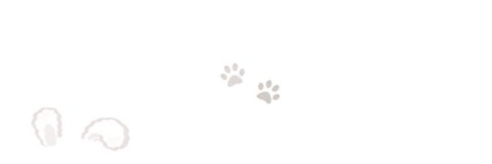 puudineko's profile banner image