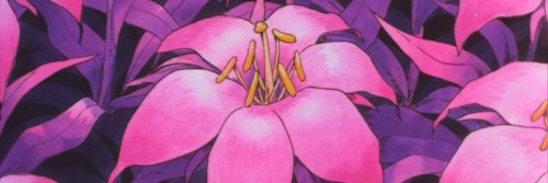 Rosea Cionaodh banner