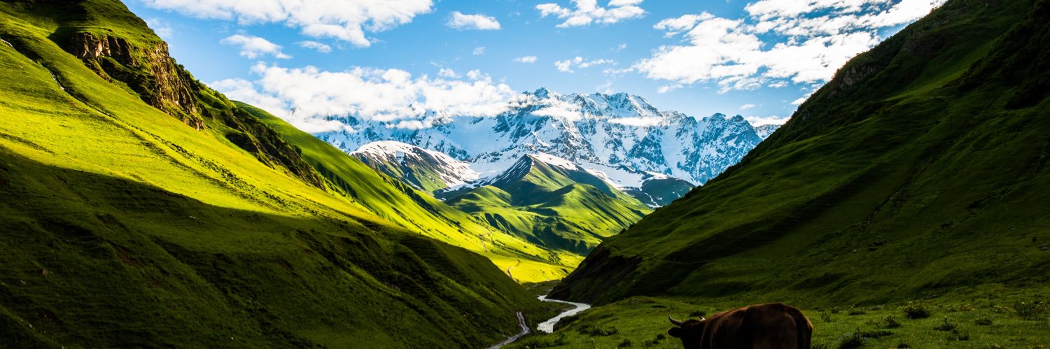albertantig's profile banner image