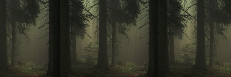 RICTUSEMPR4's profile banner image