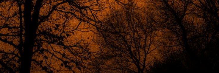 hitherdusk's profile banner image