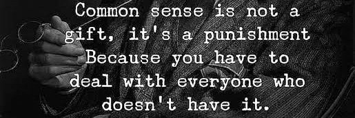 zro_commonsense's profile banner image